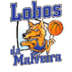 洛沃斯 Logo