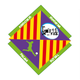 帕尔马室内足球队 Logo