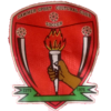 索默 Logo