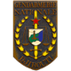 国际宪兵队 Logo