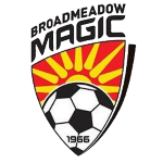 布罗德美度兰女足B队 Logo
